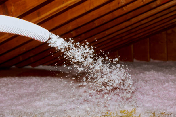 Best Commercial Insulation in Coldwater, MS