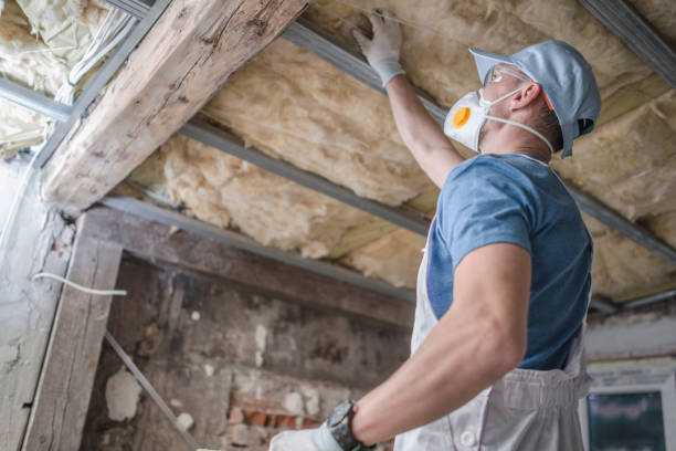 Best Residential Insulation in Coldwater, MS