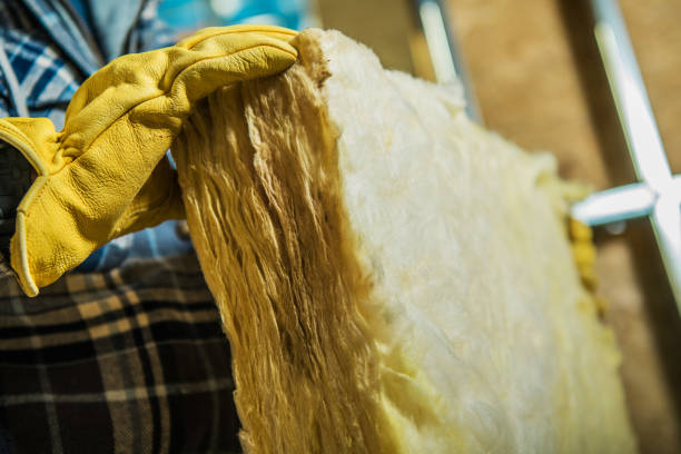 Best Insulation Maintenance and Repair in Coldwater, MS